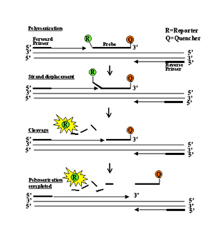 乐天堂·fun88(中国区) - 官方网站
